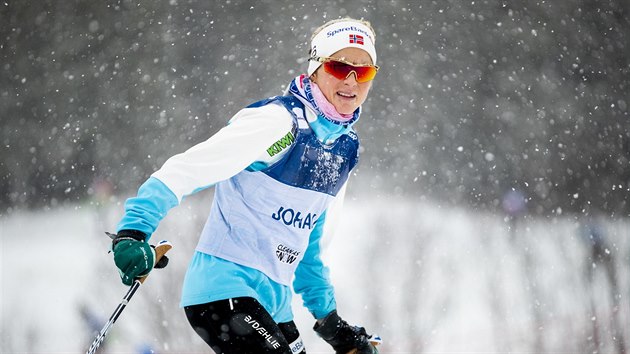 Norsk bkyn na lych Therese Johaugov bhem trninku v Lillehammeru
