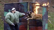 Armádní pes se nikdy nesmí leknout ohn, ran ani stelby.