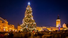 V sobotu se na hlavním českobudějovickém náměstí rozsvítil vánoční strom....