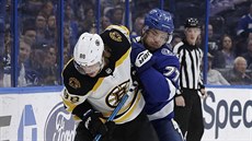 Victor Hedman (v modrém) z Tampy se snaí rozhodit Davida Pastráka z Bostonu.