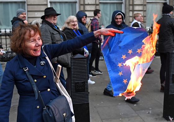 Demonstranti, kteí podporují brexit a naopak li spolen do ulic Londýna