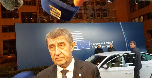 Premiér Babi po jednání Evropské rady