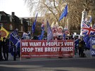 Remain in the European Union, anti-Brexit supporters demonstrate across the...