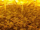 P�i razii na Plze�sku a Doma�licku policist� spole�n� s celn�ky odhalili osm...