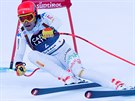 Italský lya Christof Innerhofer v superobím slalomu ve Val Garden.