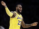 LeBron James z LA Lakers bojuje za svj tým u rozhodích.
