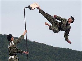 BOJOVÉ UMNÍ. Vojáci jihokorejské armády pedvádjí bojové umní na kadoroním...
