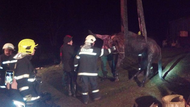 Hasii na Chebsku zachraovali kon, kter spadl do odpadn jmky.