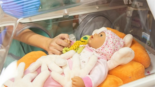 Jeden tincti novch inkubtor, kter si podilo novorozeneckm oddlen olomouck fakultn nemocnice.