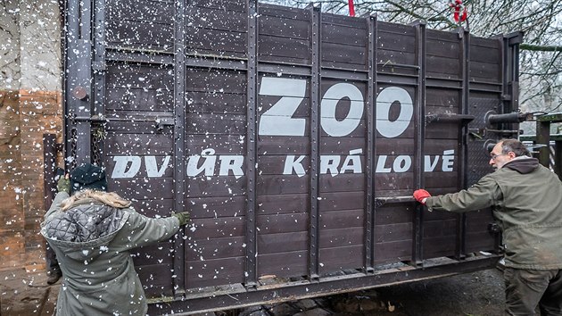 Do safari parku ve Dvoe Krlov dorazila nov samice nosoroce blho jinho Jabulina z francouzsk zoo v Montpellier.