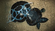 Oceán, za který má z�ásti odpov�dnost i �esko