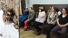 Soud potrestal aktivisty, kteří odvezli ze statku Vondruškových v Jankově na...
