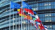 Vlajky členských států před budovou Evropského parlamentu ve francouzském...