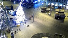 Cizinci si kopali s ozdobami z vánočního stromu