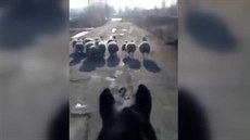 Stádo ovcí pobíhalo po Strakonické ulici v Praze