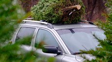 Tak takto ne. I na krátkou vzálenost musíte vánoční stromek k příčníkům auta...