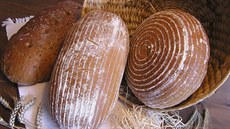Oceněná kolekce chlebů za rok 2018