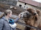 Farma Apolenka se stále vyrovnává s následky listopadového poáru.