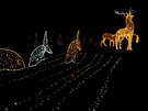 Za pronájem vánoních dekorací letos Jiín zaplatí zhruba 200 tisíc korun....
