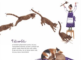 Kniha Řez kočkou od vydavatelství Běžíliška.