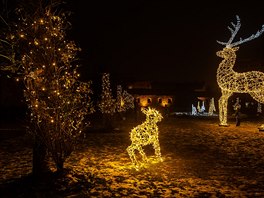 I svtelná výzdoba podléhá módním trendm. Díky pronájmu tak v Jiín mají...