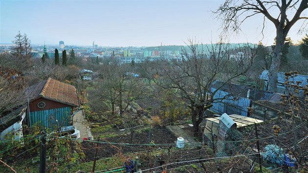 Plánovaná výstavba na Žlutém kopci v Brně se dotkne zhruba šesti stovek zahrádkářů ze zdejší kolonie.
