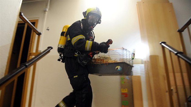 V ulici Dole�alova vzplanul na �t�dr� den v�no�n� stromek (24. prosince 2018).