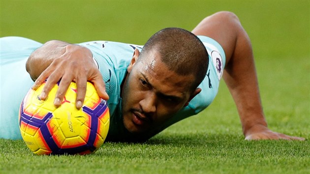 Salomon Rondon z Newcastlu se zved po faulu.