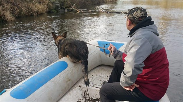 Poheovanho mue nael v kanalizan roue speciln vycvien pes.