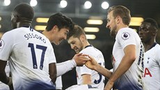 Fotbalisté Tottenhamu v euforii - na hiti Evertonu nastíleli est gól. Hary...