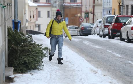 Pro pí je v posledních dnech cesta po jihlavských chodnících náronjí. ada...