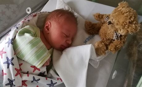 Prvním letoním novorozencem v esku je jihoeský chlapeek Tomá. Narodil se...