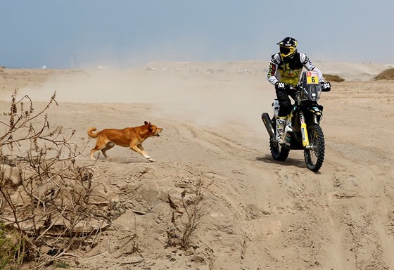 Rally Dakar kadoron pináí pestré okamiky pro vechny úastníky.