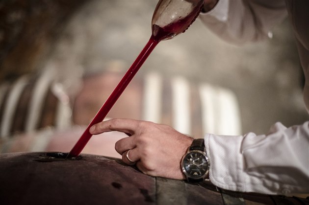 Mendelova univerzita ke svému stoletému výroí pipravuje víno z vlastní dílny....