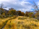 Podzim vytváí v krajin Torres del Paine krásn barevné kontrasty.