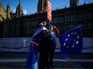 Odprci brexitu s transparenty ped Westminsterským palácem (8. 1. 2019)