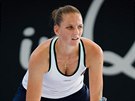 Karolína Plíková na turnaji v Brisbane.