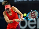 Ajla Tomljanovicová ve tvrtfinále turnaje v Brisbane.