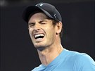 Andy Murray na turnaji v Brisbane.