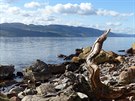 Loch Ness je díky etrémní hloubce a temné a po celý rok ledové vod jedním z...