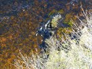Voda Loch Ness je zkalená tmavými ástekami raeliny a má opticky blí ke...