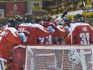 Olomoutí hokejisté slaví výhru na led Litvínova.