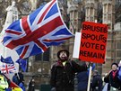 Demonstrace příznivců i odpůrců brexitu v Londýně (9. ledna 2019)