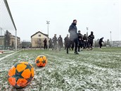 Momentka z trninku fotbalist Olomouce