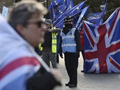 Demonstrace p��znivc� i odp�rc� brexitu v Lond�n� (9. ledna 2019)