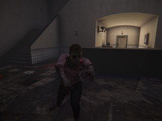 The Last of Humans