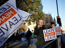 Skupinka píznivc brexitu demonstruje ped Westminsterským palácem (8. 1....