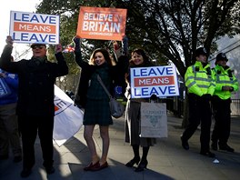 Pívrenci brexitu vyjadují svj názor ped Westminsterským palácem. Odejít...