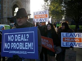 Sympatizanti brexitu ped Westminsterským palácem. ádná dohoda, ádný problém....