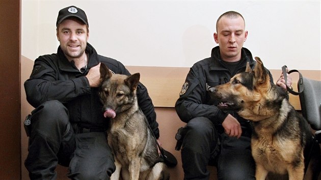 Policejn sluebn psi z vrhu, pro kter vybrala jmna veejnost. Na snmku fena Bra a pes Armin s psovody Markem Strolenm a Jakubem Trvnkem.